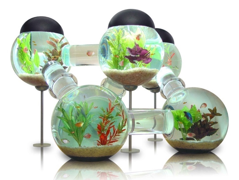 Labyrinth Aquarium | Unique Fish Tank Design