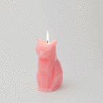 PyroPet Cat Candle with Skeleton Inside