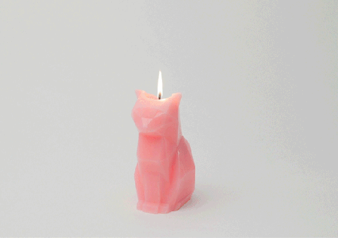 PyroPet Cat Candle with Skeleton Inside